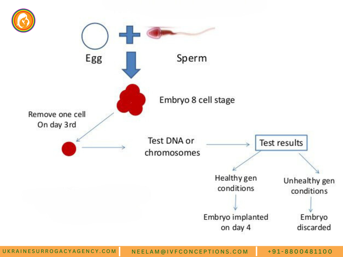 PGD Process