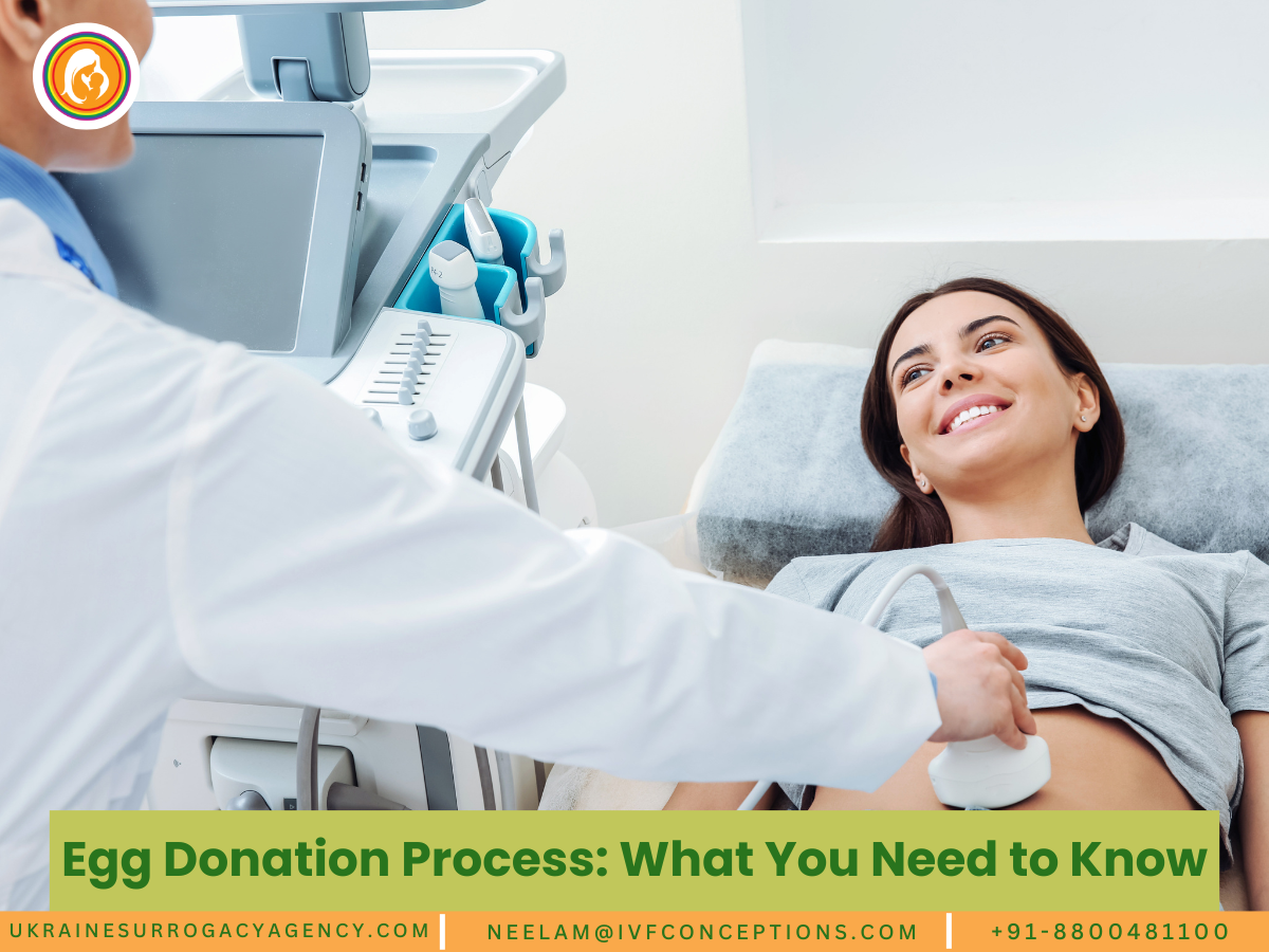 Egg Donation Process What You Need to Know