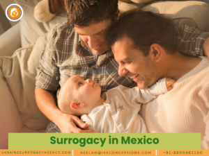 Surrogacy in Mexico A Comprehensive Guide for International Intended Parents