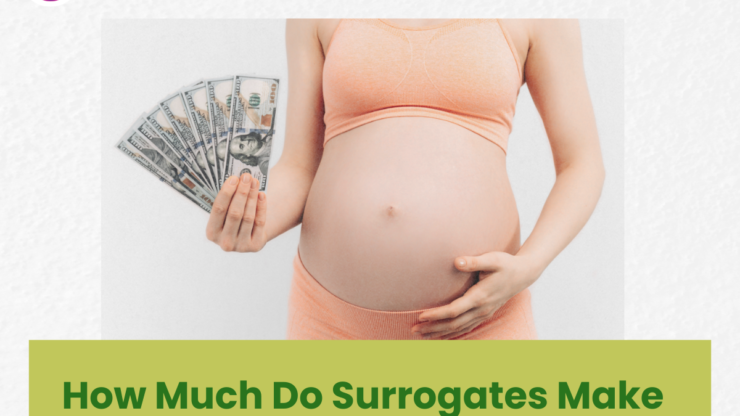 How Much Do Surrogates Make? Compensation Guide