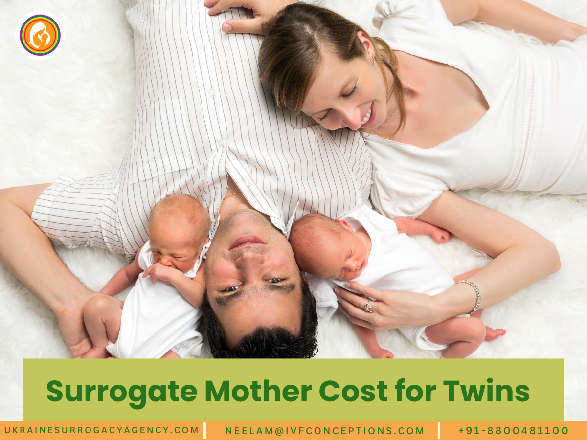 Surrogate Mother Cost for Twins: What to Expect