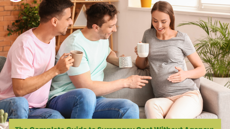 The Complete Guide to Surrogacy Cost Without Agency: Save Money and Navigate the Process