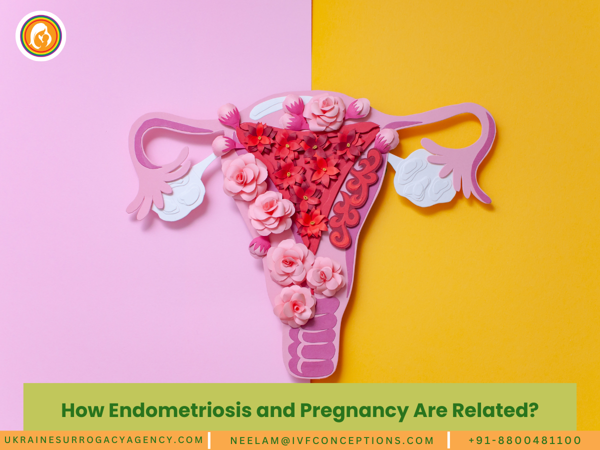 How Endometriosis and Pregnancy Are Related?