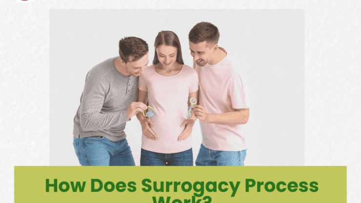 How Does Surrogacy Process Work?