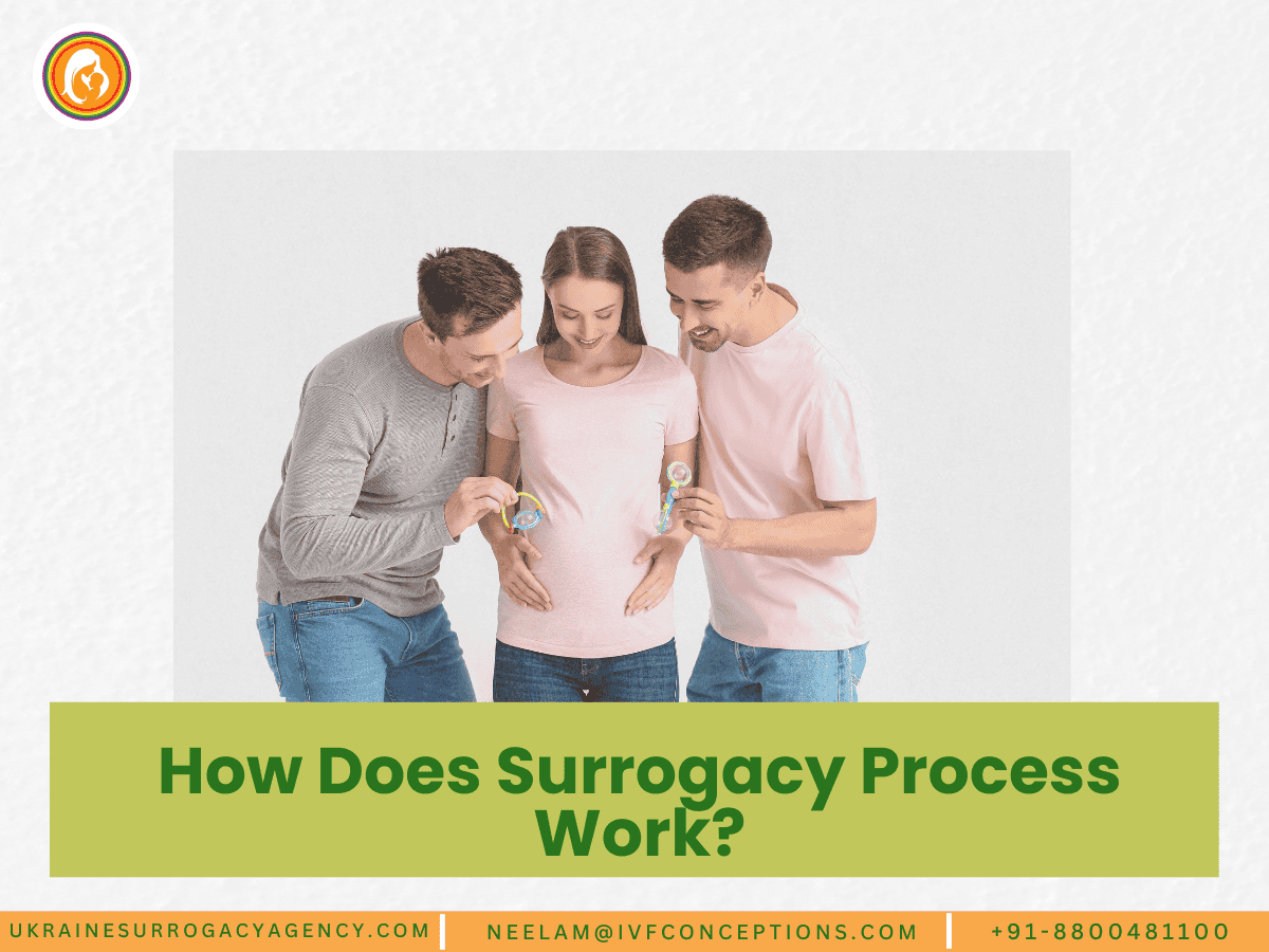 How Does Surrogacy Process Work?