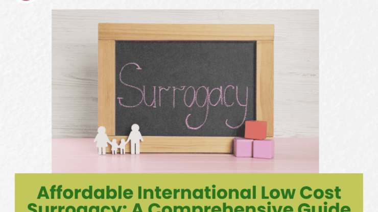 Affordable International Low Cost Surrogacy: A Comprehensive Guide