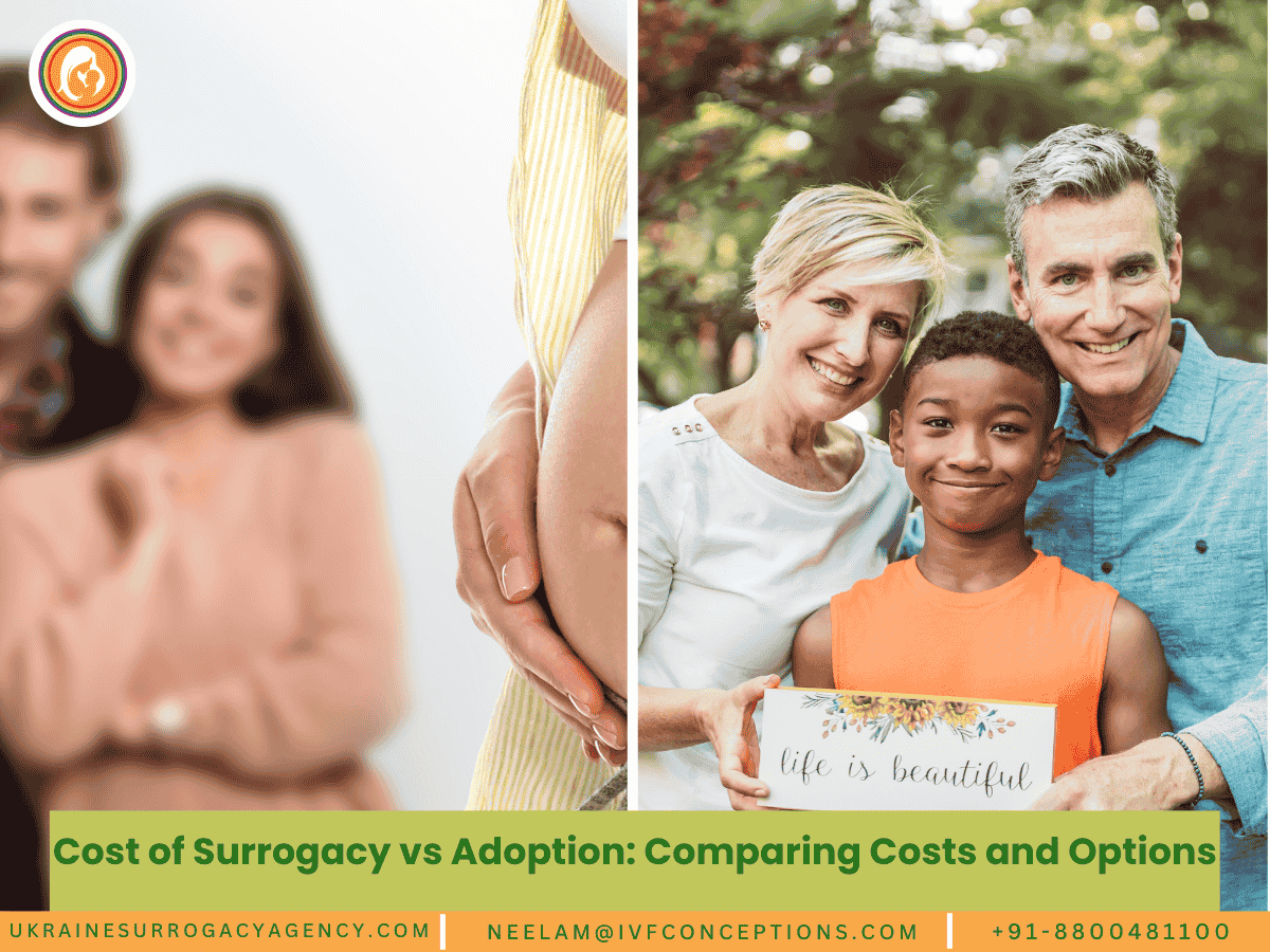 Cost of Surrogacy vs Adoption: Comparing Costs and Options