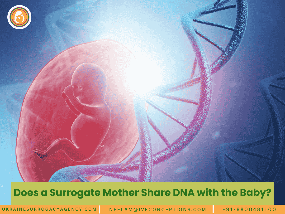 Does a Surrogate Mother Share DNA with the Baby?