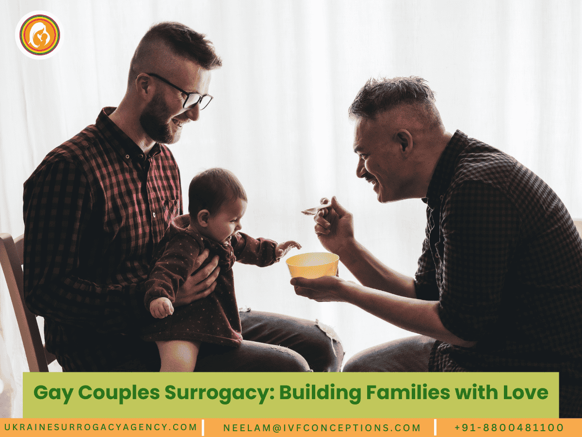 Gay Couples Surrogacy: Building Families with Love