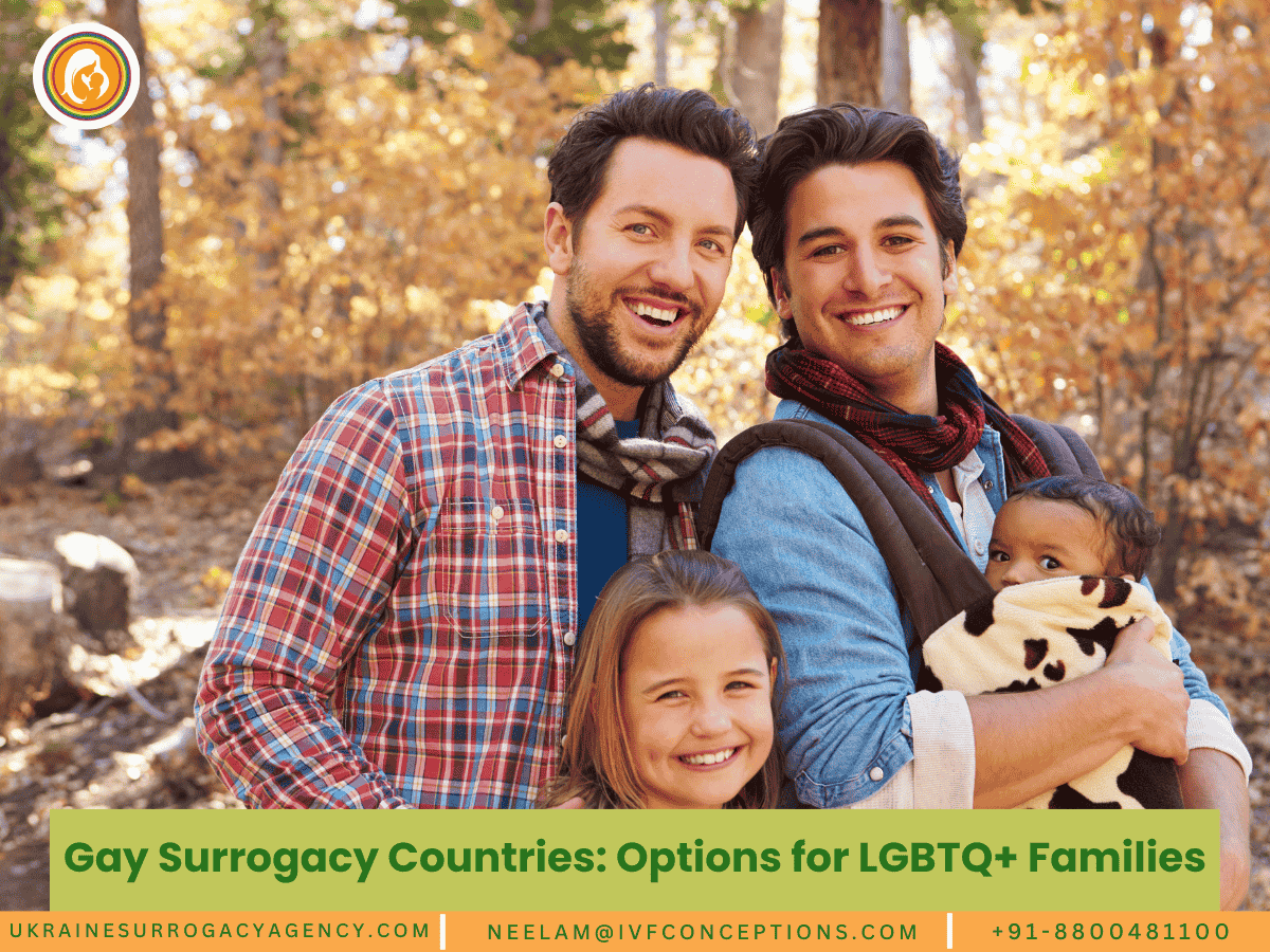 Gay Surrogacy Countries: Options for LGBTQ+ Families