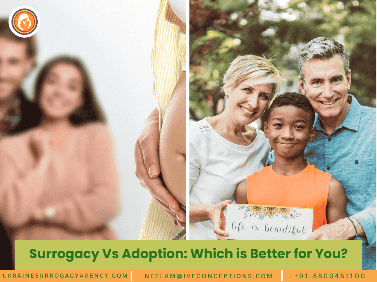 Surrogacy Vs Adoption: Which is Better for You?