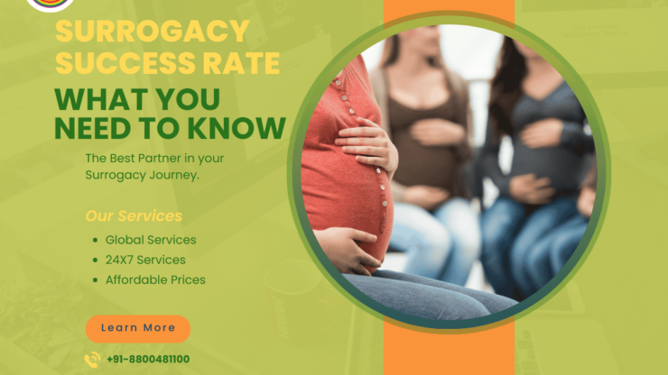 Surrogacy Success Rate: What You Need to Know