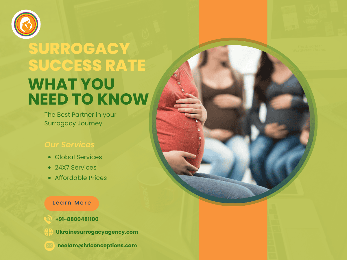 Surrogacy Success Rate: What You Need to Know