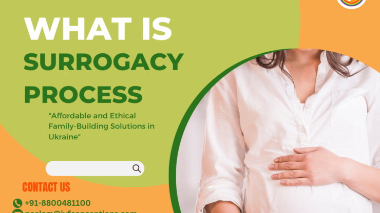 What is Surrogacy Process