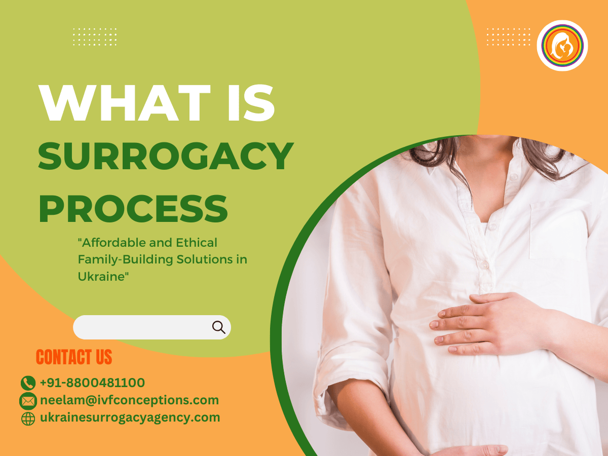 What is Surrogacy Process