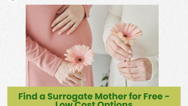 Find a Surrogate Mother for Free – Low Cost Options