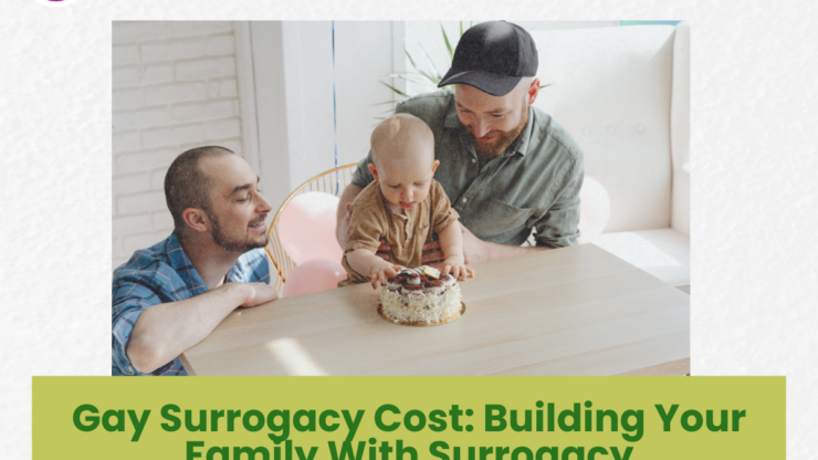 Gay Surrogacy Cost: Building Your Family With Surrogacy