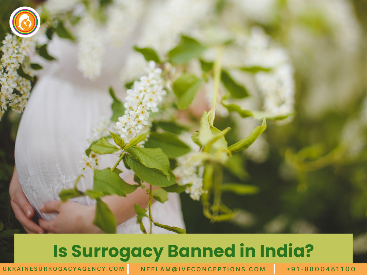 Is Surrogacy Banned in India?