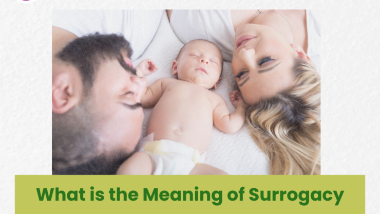 What is the Meaning of Surrogacy- Your Comprehensive Guide (2025)