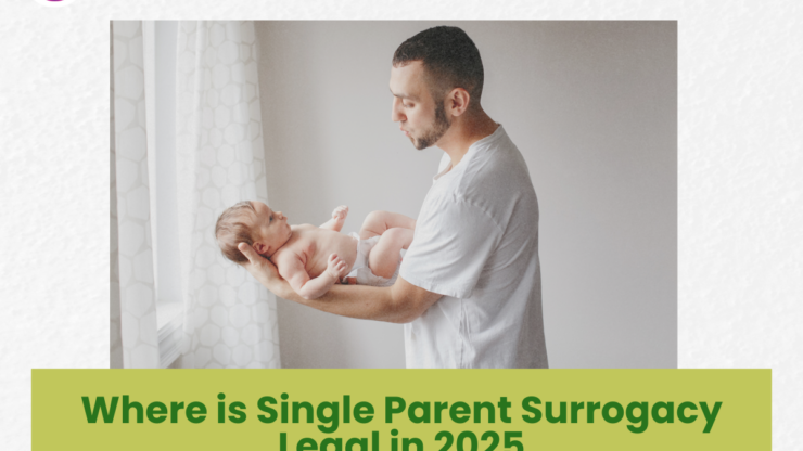 Where is Single Parent Surrogacy Legal in 2025- Top Countries