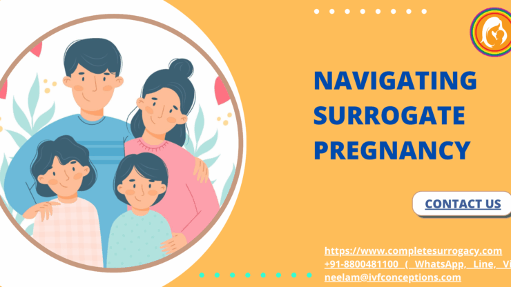 What is Surrogate Pregnancy: What You Should Know.