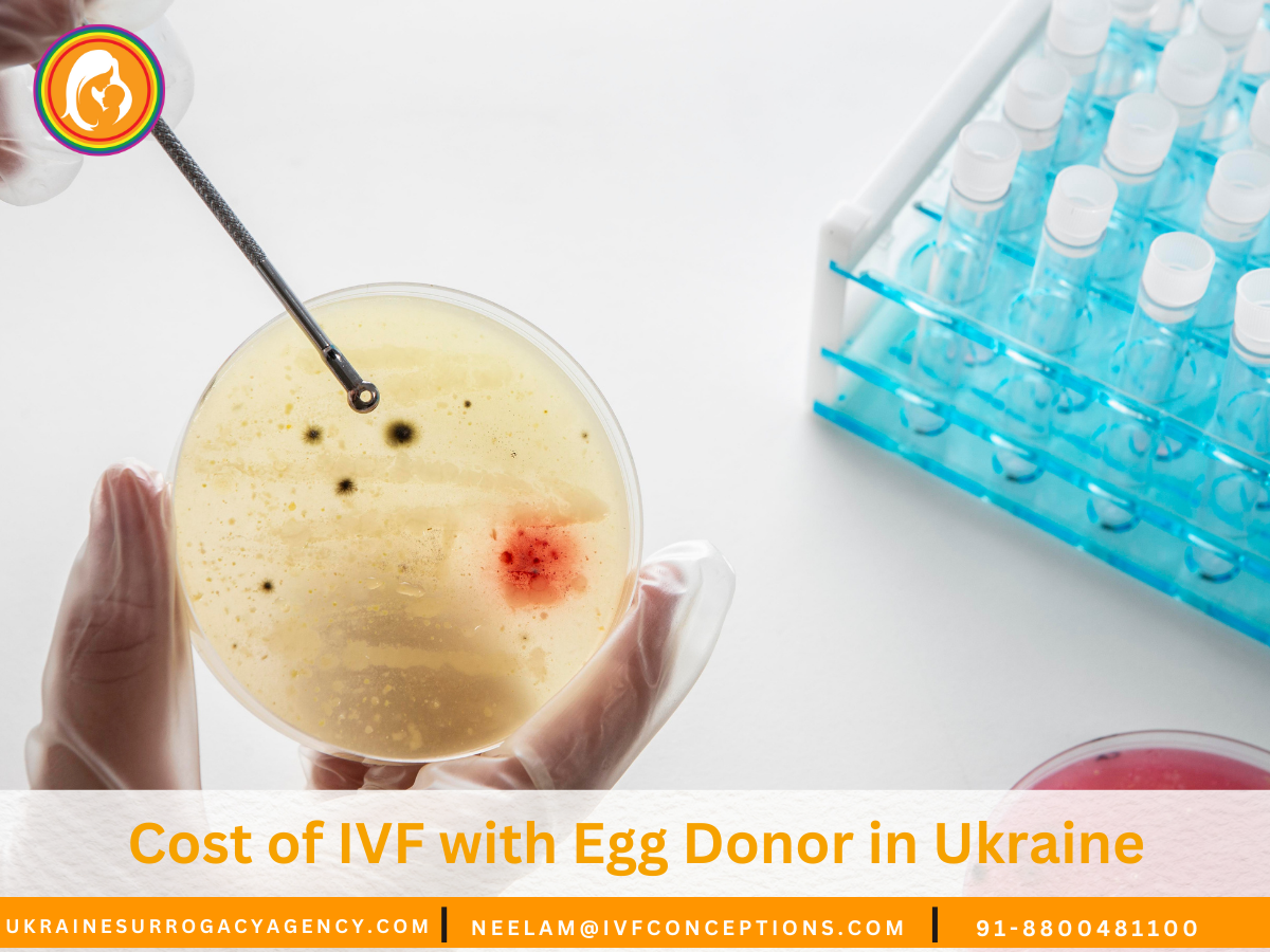 Cost of IVF with Egg Donor in Ukraine: Exploring the Costs