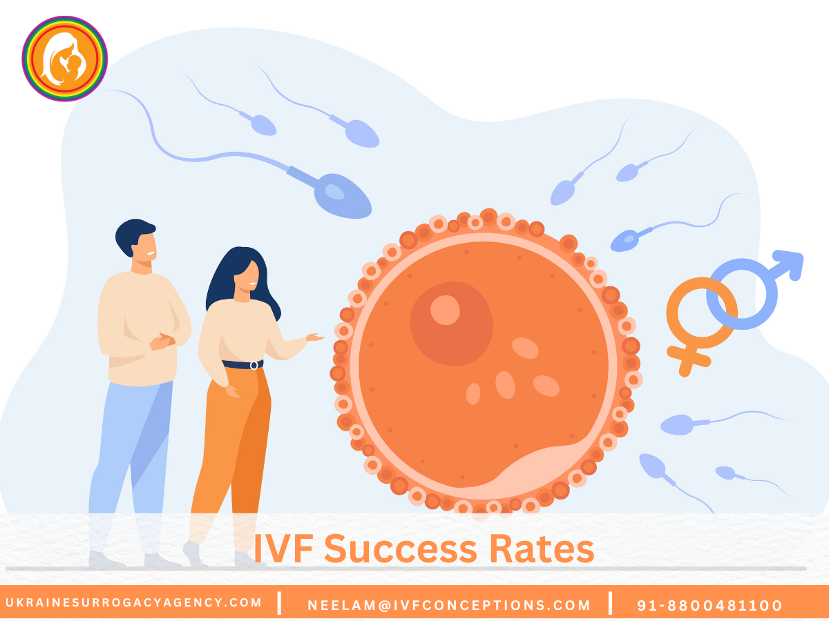 IVF Success Rates: Maximizing Your Chances
