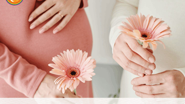 Surrogacy vs egg donor surrogacy