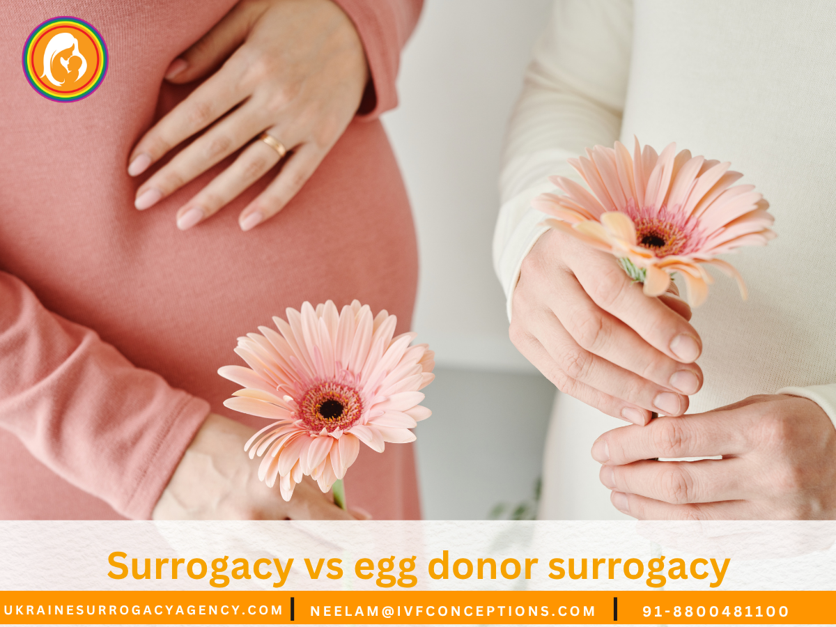 Surrogacy vs egg donor surrogacy