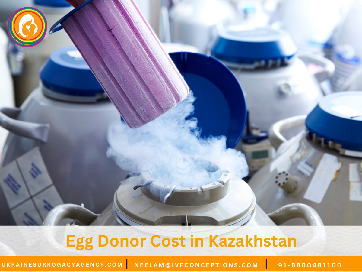 Egg Donor Cost in Kazakhstan: What You Need to Know