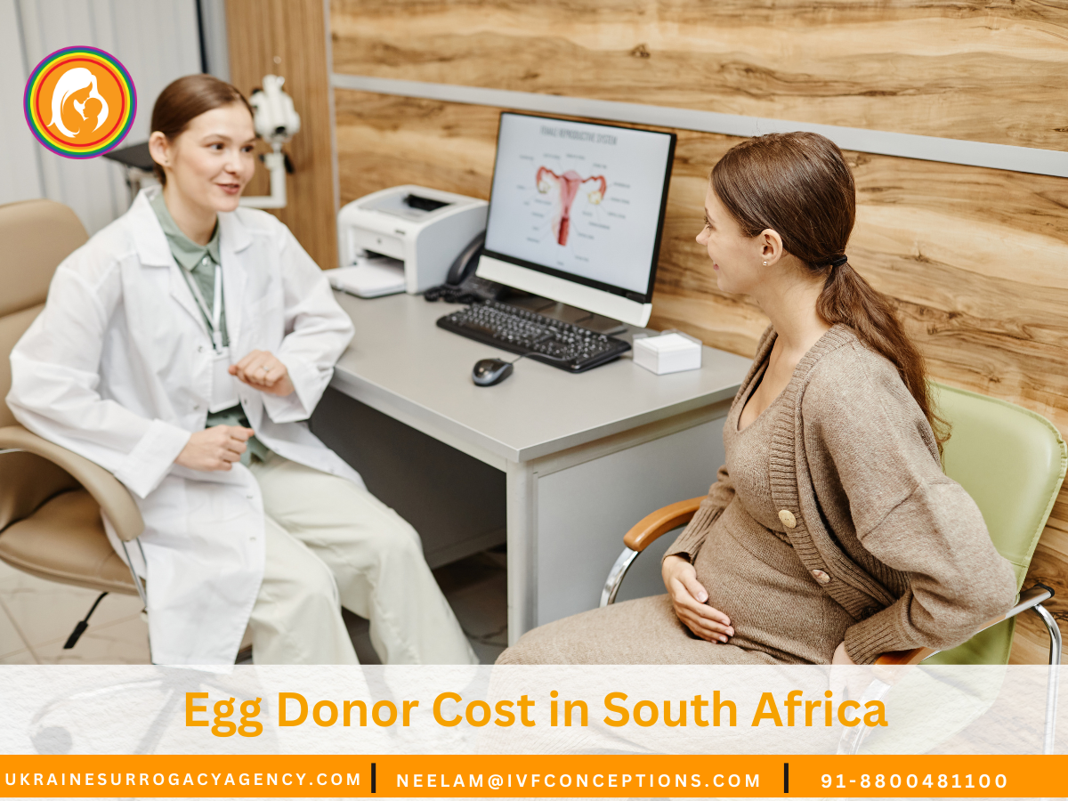 Egg Donor Cost in South Africa: What You Need to Know