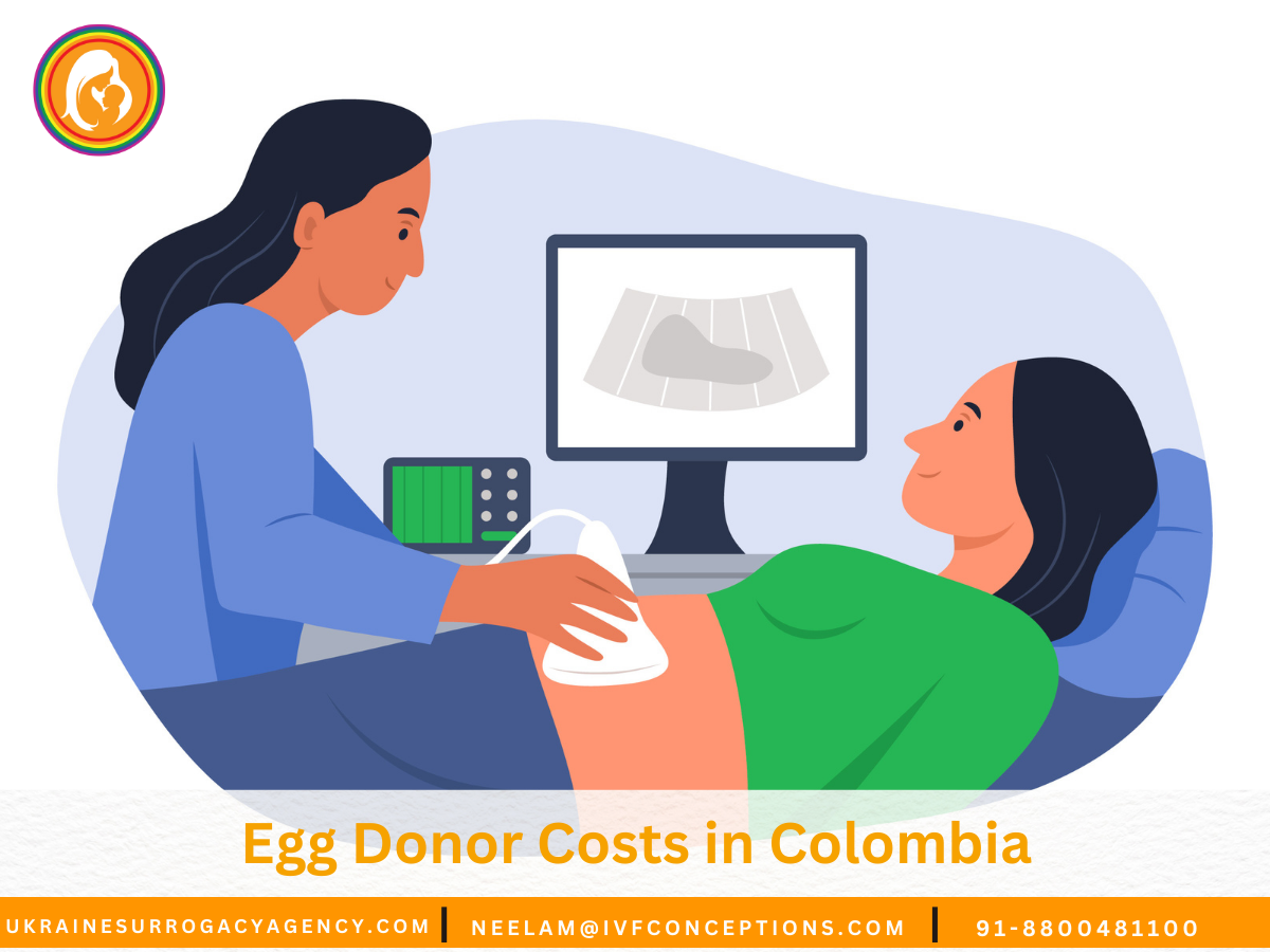 Egg Donor Costs in Colombia: What to Expect