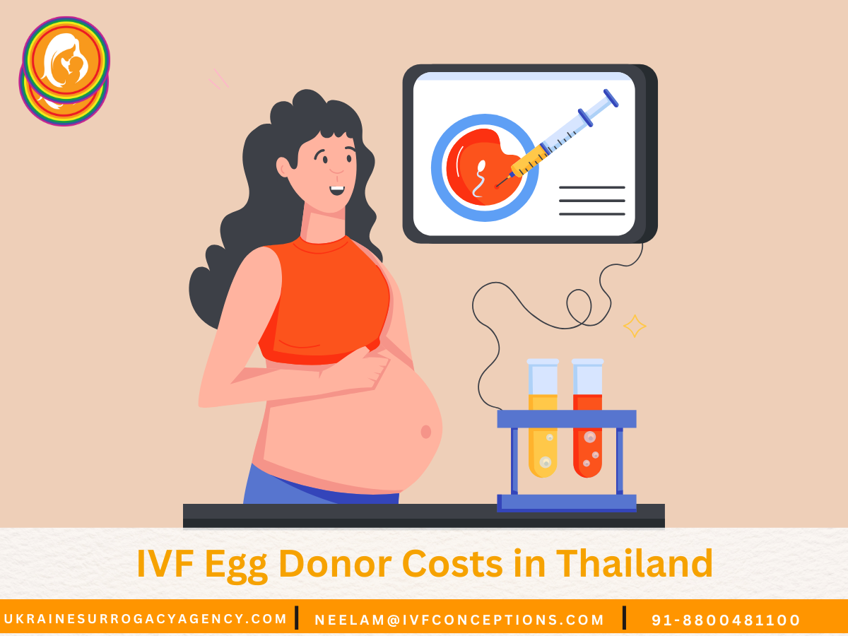 IVF Egg Donor Costs in Thailand: What You Need to Know