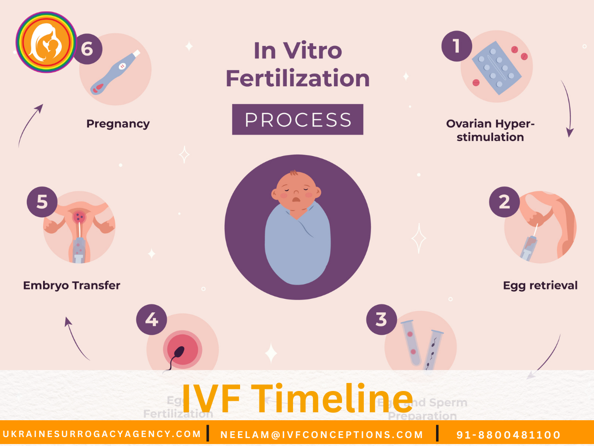 IVF Timeline: Your Complete Guide to the Process