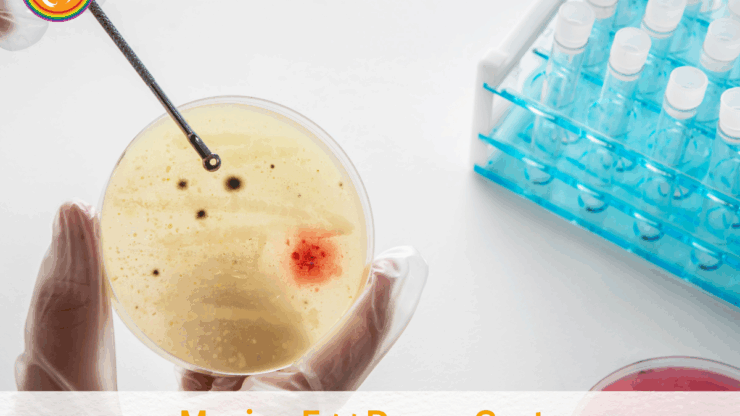 Mexico Egg Donor Costs: A Comprehensive Guide