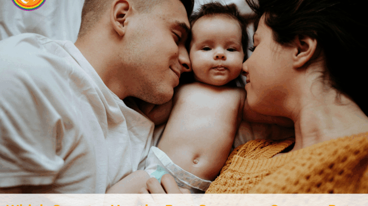 Which Country Has the Best Surrogacy Success Rate in 2025?