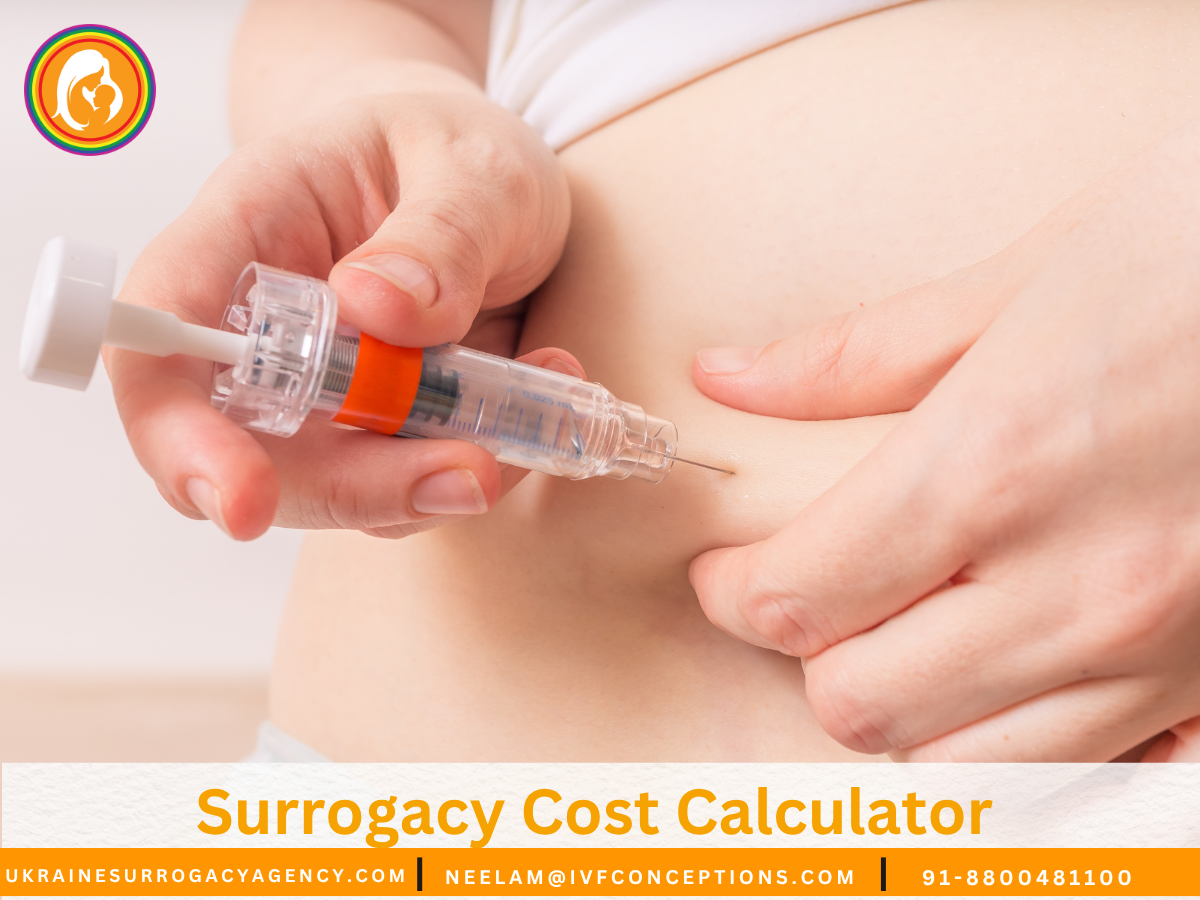 Surrogacy Cost Calculator: Estimate Your Journey with Precision