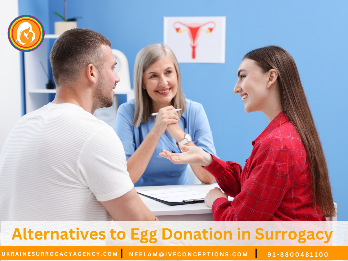 Alternatives to Egg Donation in Surrogacy – What Options Do You Have?