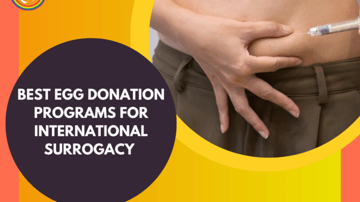 Best Egg Donation Programs for International Surrogacy – Country Comparison