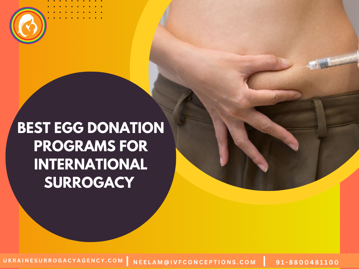 Best Egg Donation Programs for International Surrogacy – Country Comparison