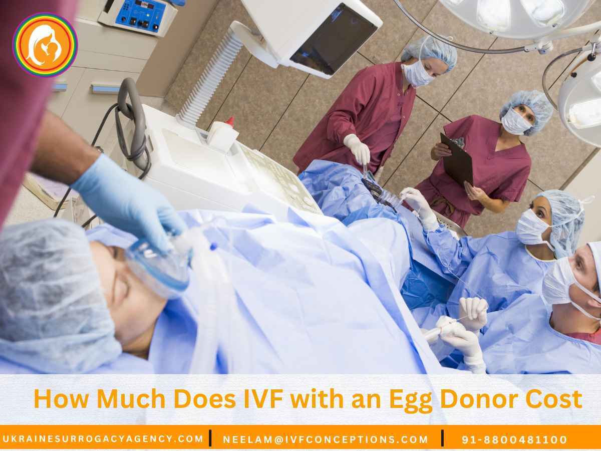 How Much Does IVF with an Egg Donor Cost: What to Expect on Costs