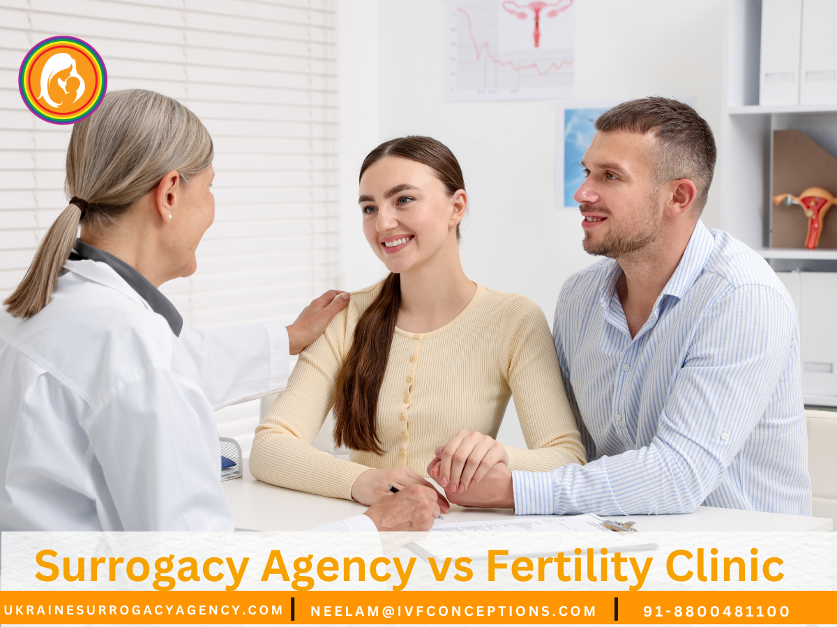 Surrogacy Agency vs Fertility Clinic – What’s the Difference?