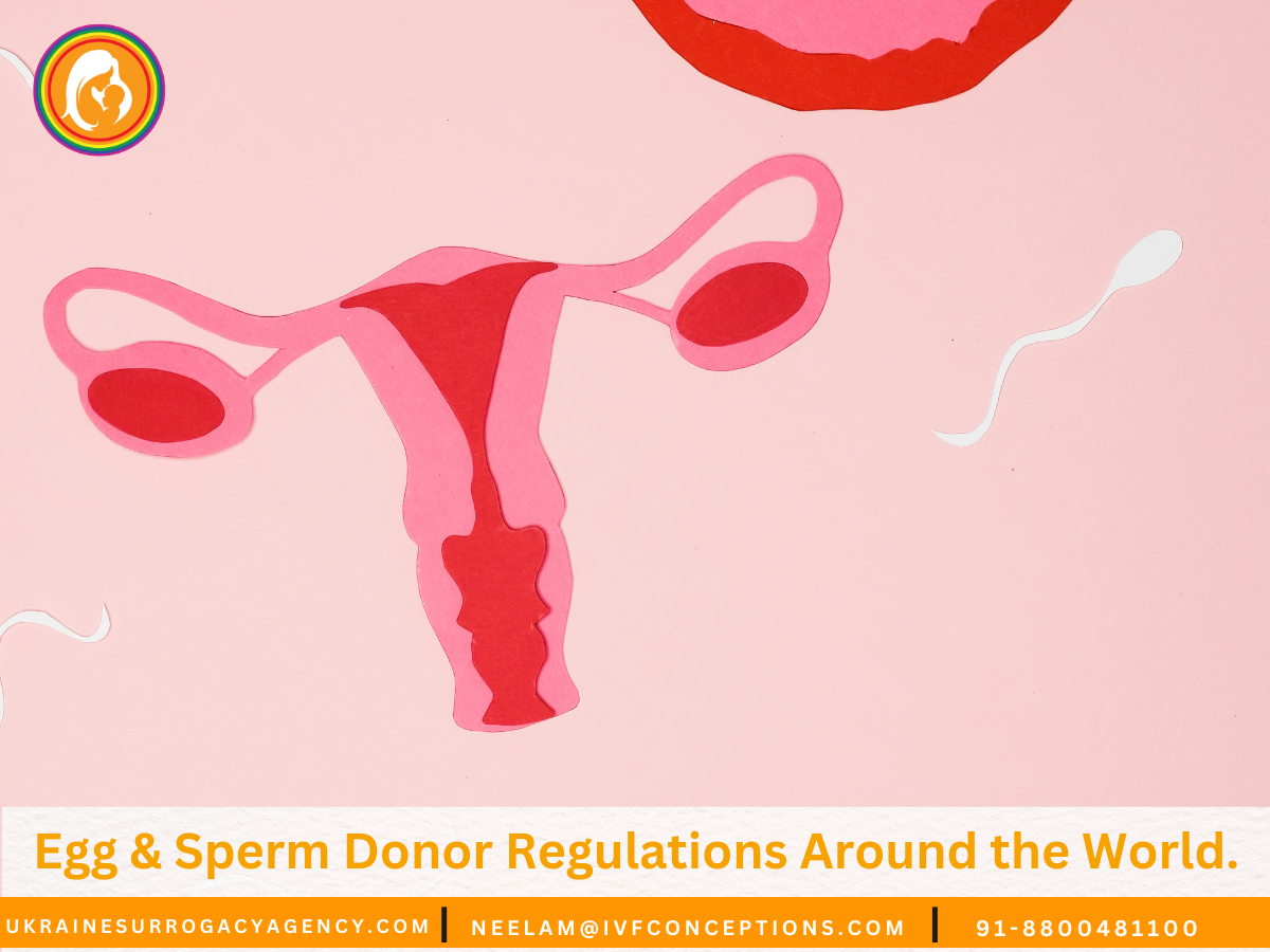 Egg & Sperm Donor Regulations Around the World.