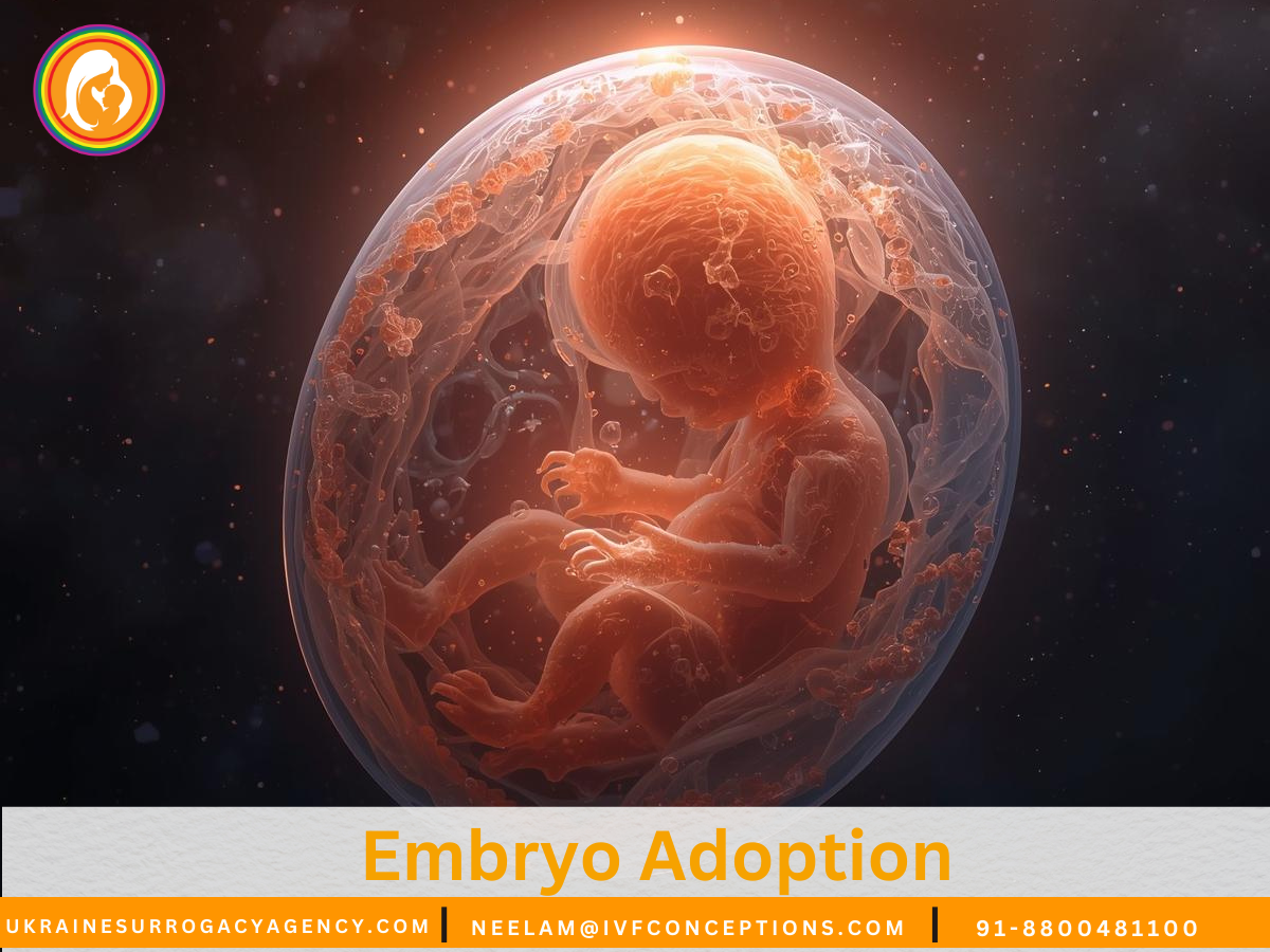 Embryo Adoption: Lower-Cost Alternative to IVF & Surrogacy.