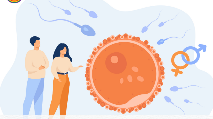 Transferring One or Two Embryos in Surrogacy: What to do.