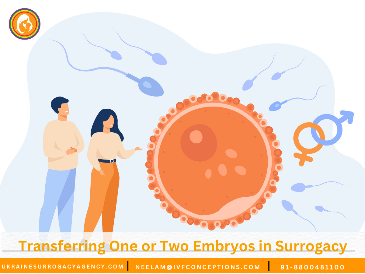 Transferring One or Two Embryos in Surrogacy: What to do.
